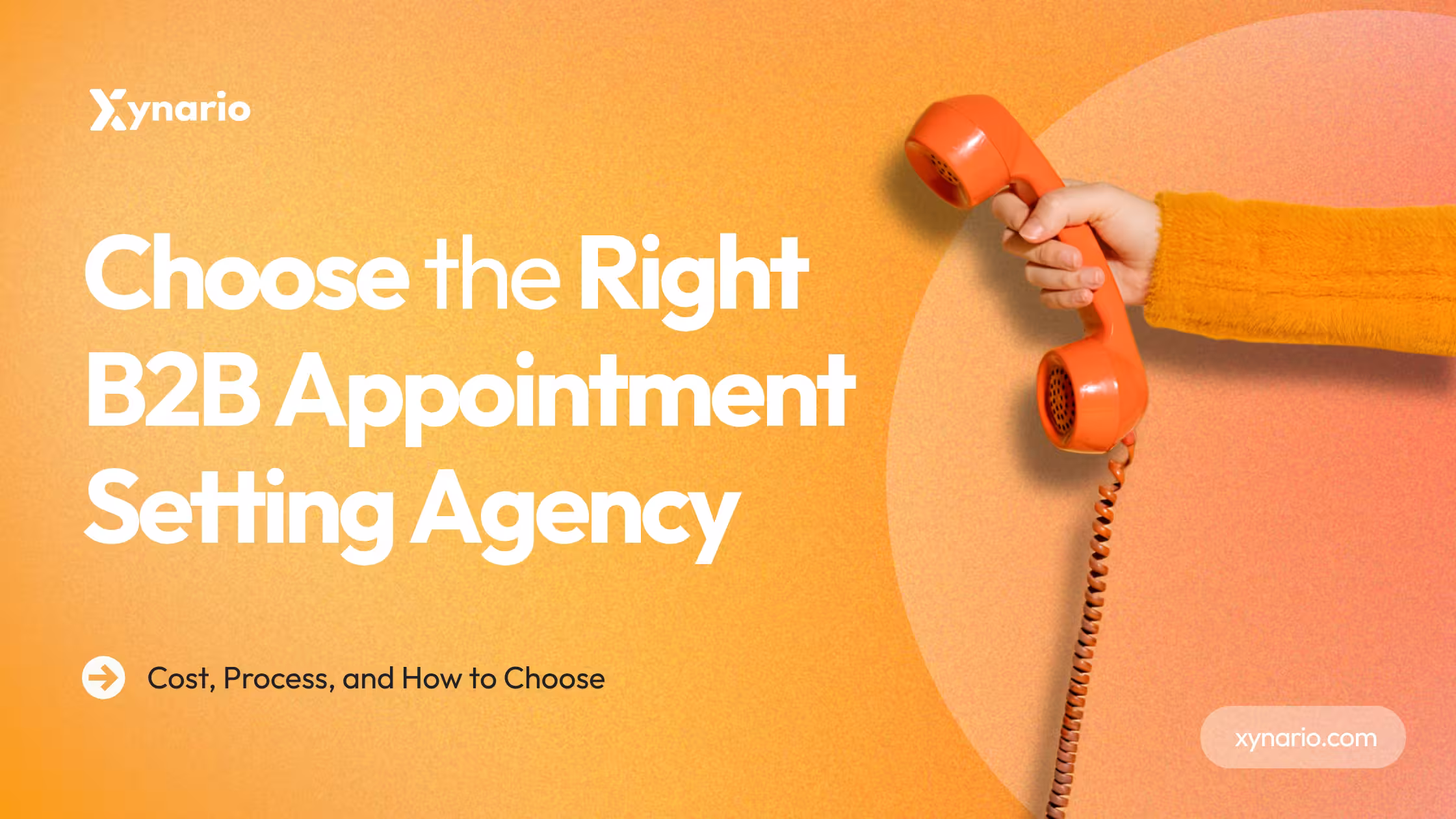 How to choose the right B2B Appointment Setting Agency to reduce your lead cost and streamline your process